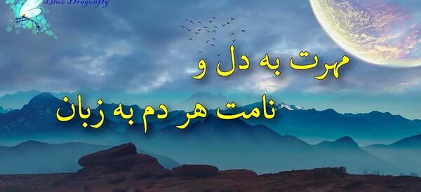 عکس استوری شب قدر حضرت علی