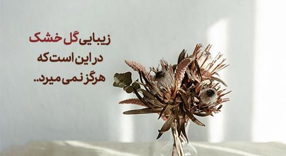 پروفایل عکس گل پژمرده غمگین