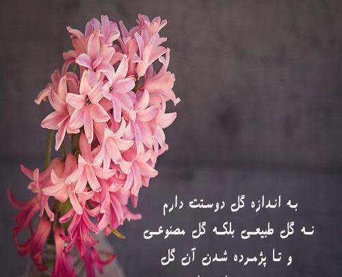 پروفایل عکس گل پژمرده غمگین