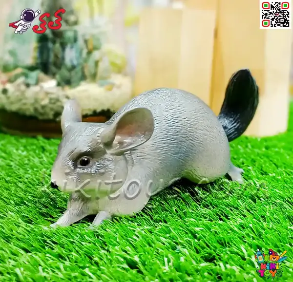 عکس بچه موش نوزاد