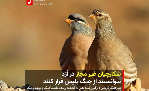 عکس شکارچیان حیوانات