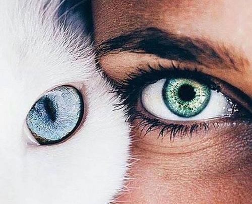 عکس جدید چشم دخترانه