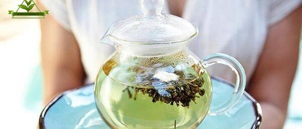 عکس چای سبز کیسه ای