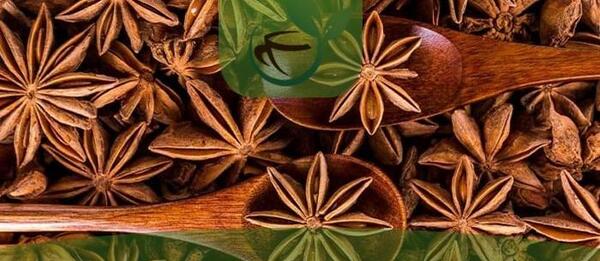 عکس چای ماسالا هندی