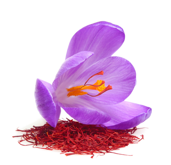 عکس گیاه جوقاسم