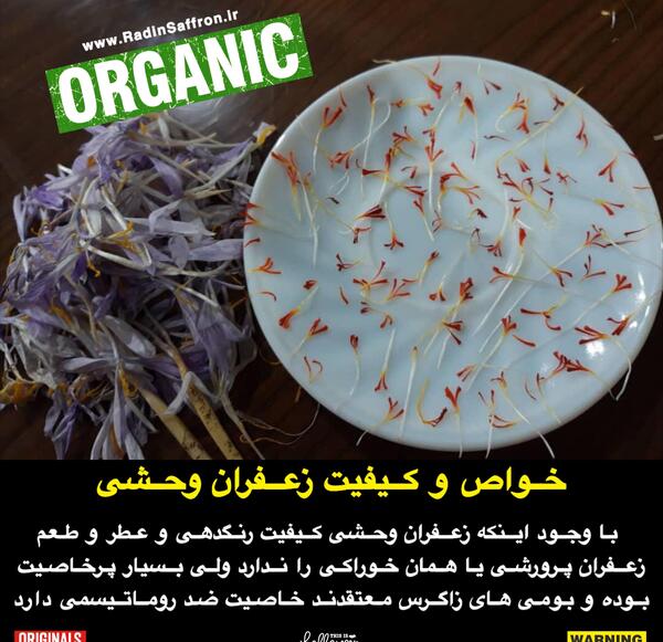 عکس گیاه جوقاسم