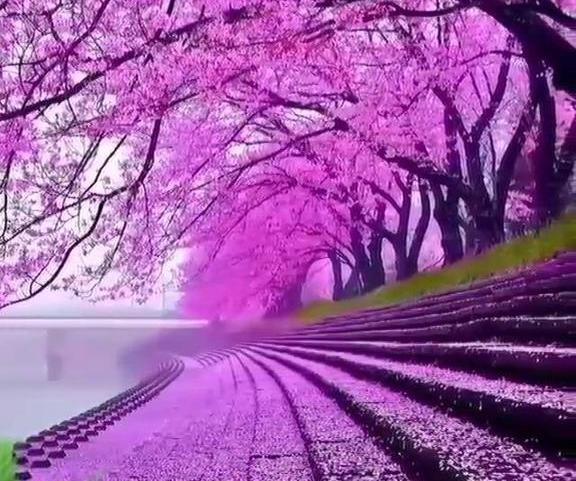 عکس فصل بهار فانتزی