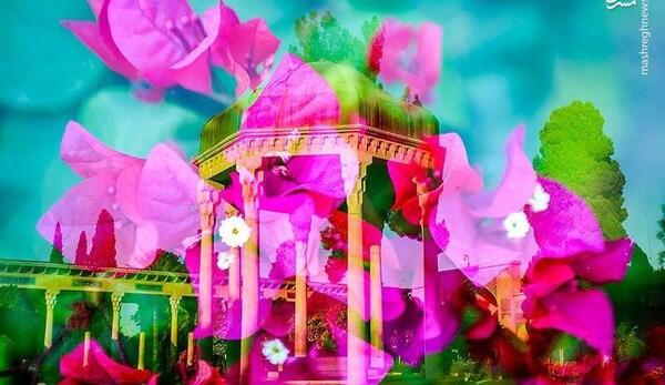 عکس برای بزرگداشت حافظ