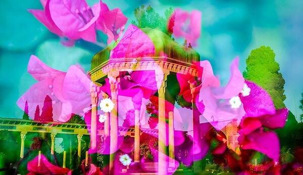 عکس برای بزرگداشت حافظ