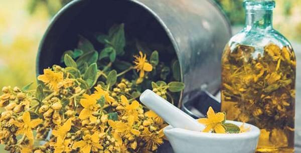 عکس گل علف چای