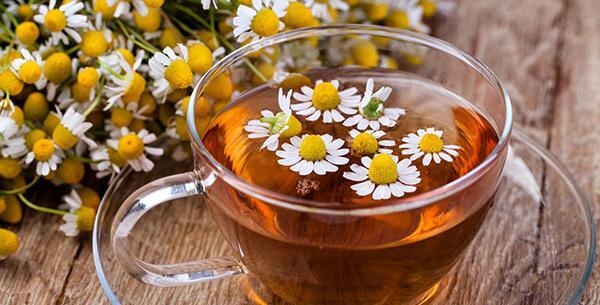 عکس گل علف چای