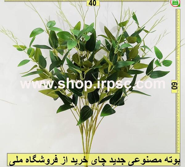 عکس گل علف چای