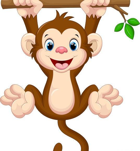 دانلود عکس حیوانات قشنگ
