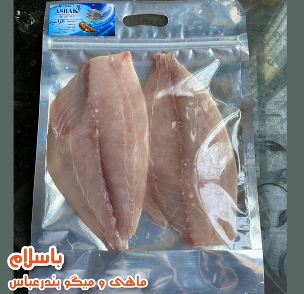 عکس ماهی حلوا بندری