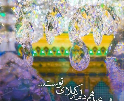 عکس پروفایل تولد حضرت علی