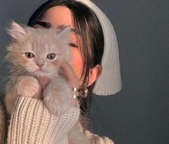 عکس پروفایل پسرانه با گربه