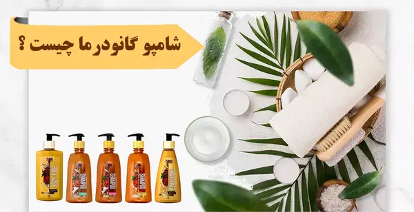 عکس بیماری گال نی نی سایت