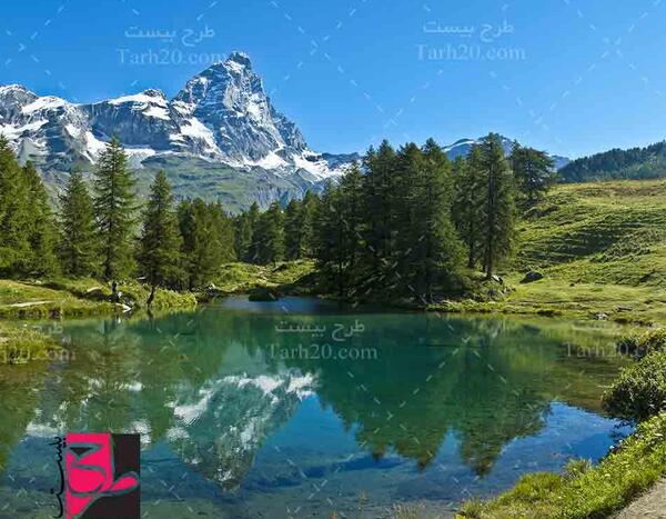 عکس جنگل و رودخانه