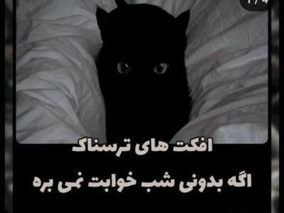عکس ترسناک گربه سیاه