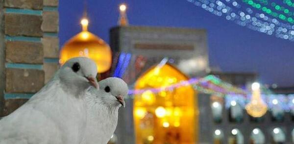 عکس متحرک حرم امام رضا