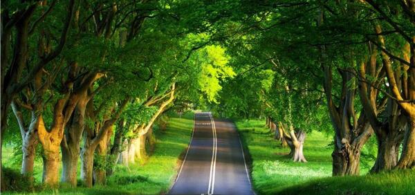 عکس منظره برای تصویر زمینه کامپیوتر