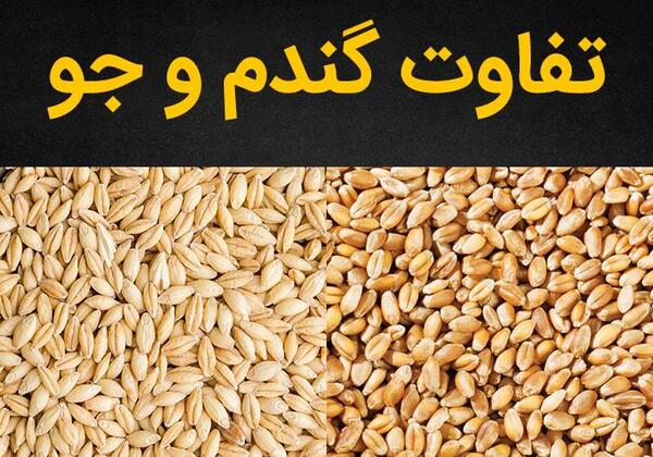 عکس از جو پوست کنده