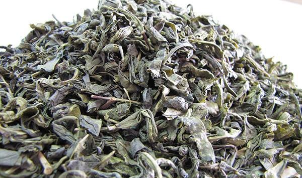 عکس بهترین چای سبز