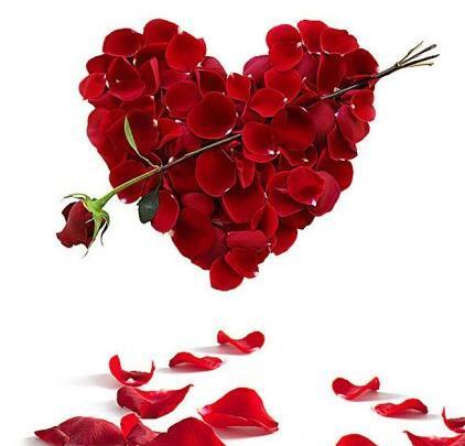 عکس پروفایل دوتا قلب عاشقانه