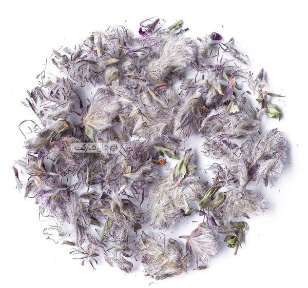 عکس گیاه چای کوهی