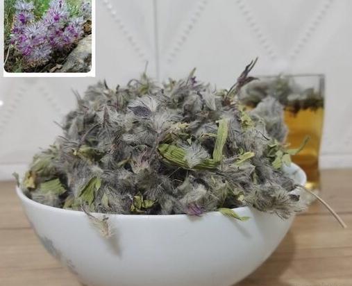 عکس گیاه چای کوهی