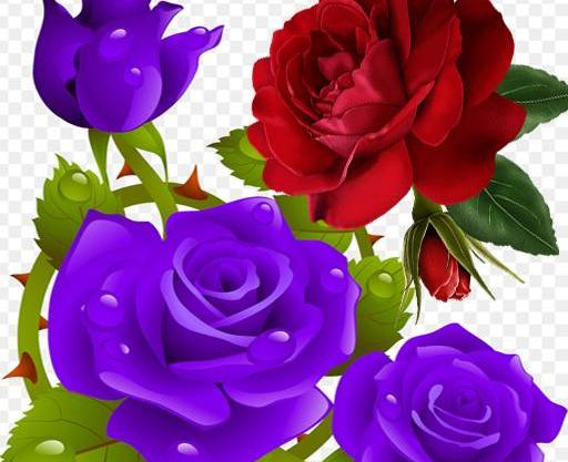 عکس گل های عاشقانه متحرک