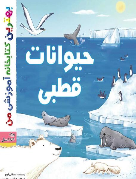عکس حیوانات خرس قطبی