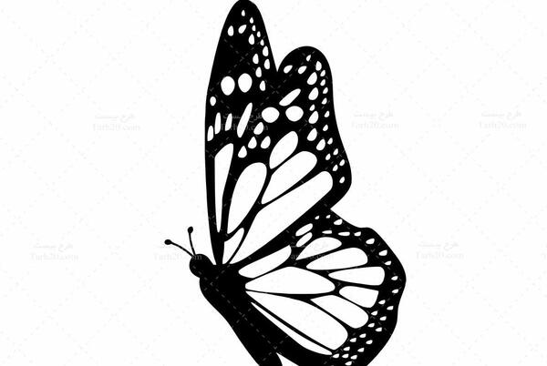 دانلود عکس سیاه سفید هنری