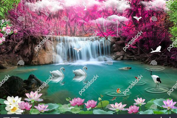عکس جنگل زیبا برای تصویر زمینه