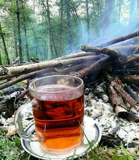 عکس زیبای چای