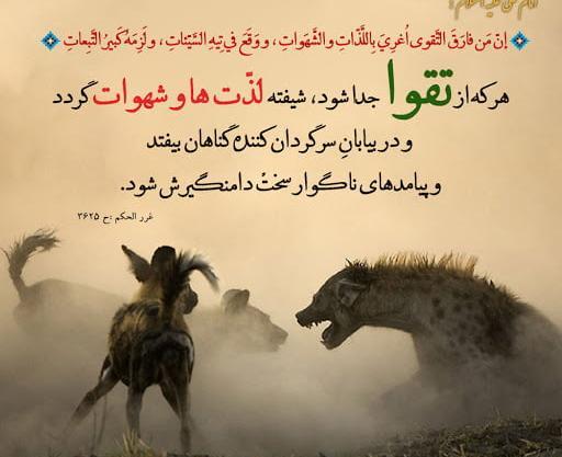 عکس نوشته در مورد حضرت علی علیه السلام