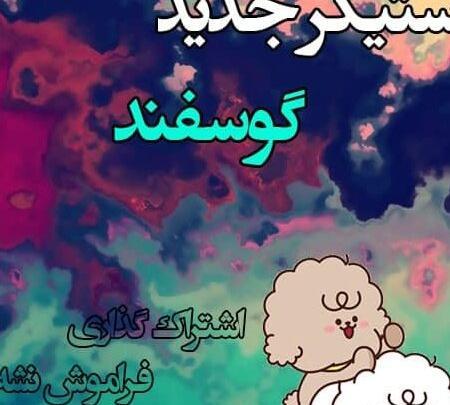 عکس های جالب برای استیکر واتساپ