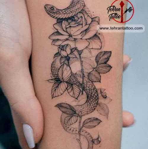 عکس تاتو مار ساده
