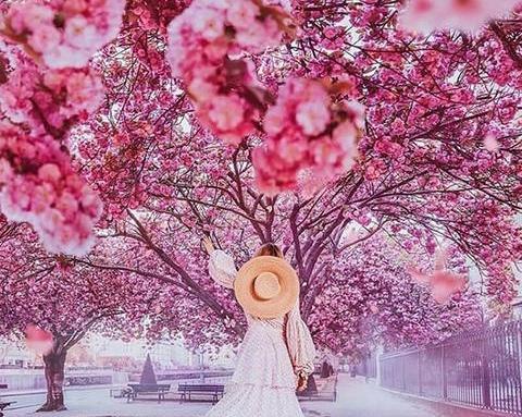 دانلود عکس فصل بهار برای پروفایل