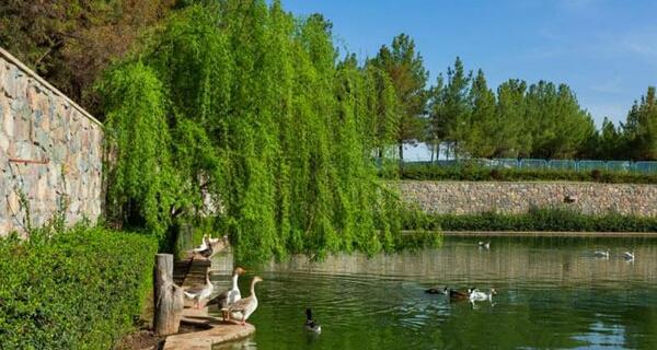 عکس های از طبیعت نیشابور