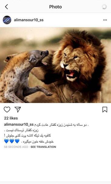 عکس شیر ترسناک استقلال