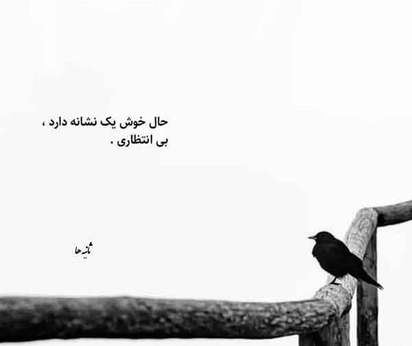 عکس پروفایل شیک و معنی دار