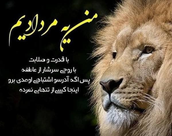 عکس تصویر زمینه ی شیر خفن