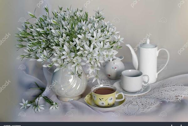 عکس های چای صبحانه