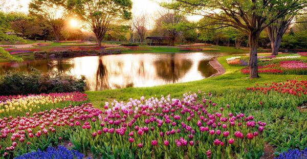 عکس صفحه دسکتاپ بهاری