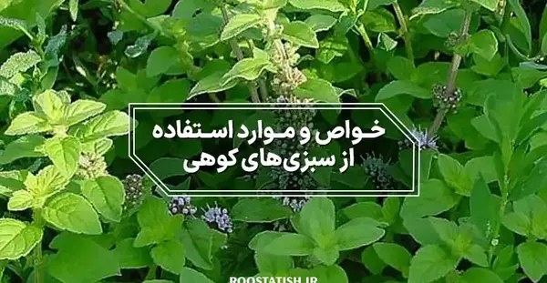 عکس سبزی جعفری کوهی