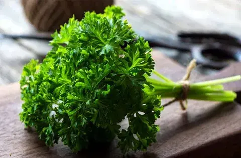 عکس سبزی جعفری کوهی