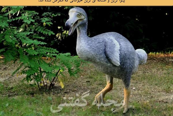 عکس حیوانات منقرض شده جهان