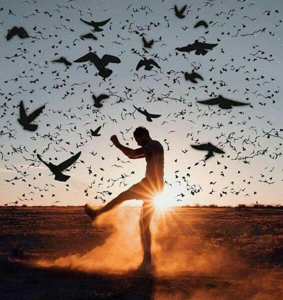 عکس پروفایل حرفه ای پسرانه