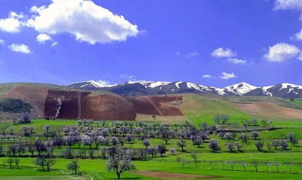 عکس از بهار ایران